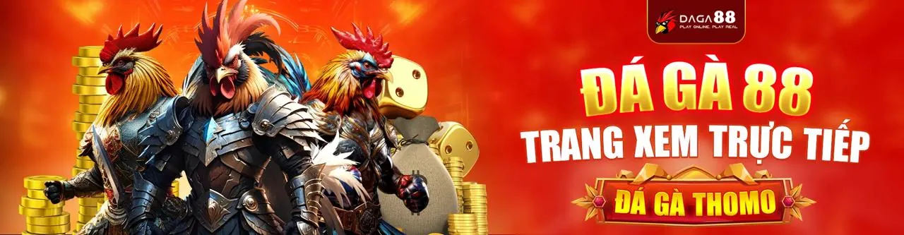 Xem Đá Gà Online Zbet Casino Vietnam